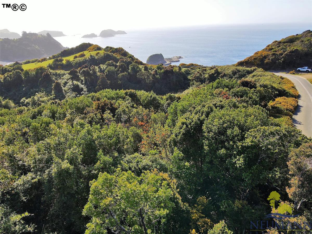 Parcela en venta en Ancud — foto 10