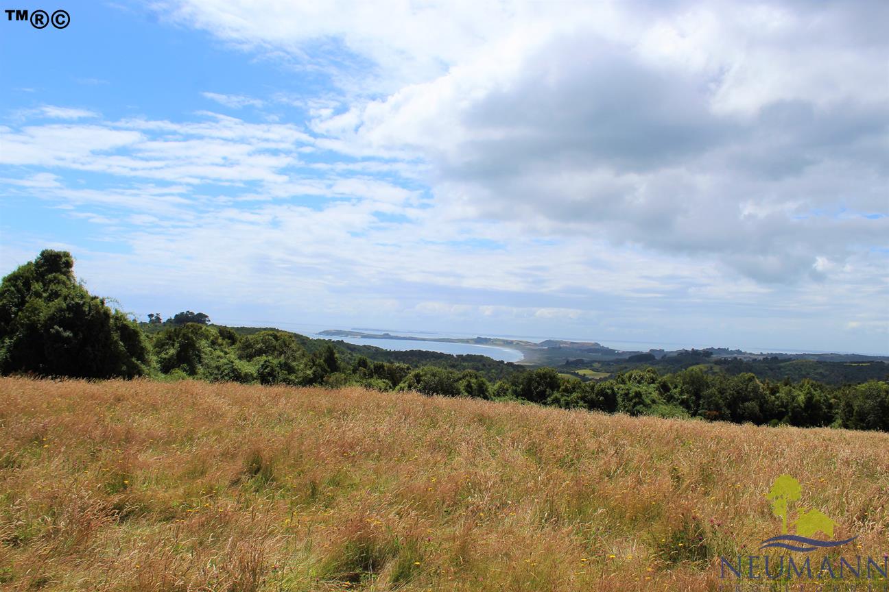 Parcela en venta en Ancud — foto 10