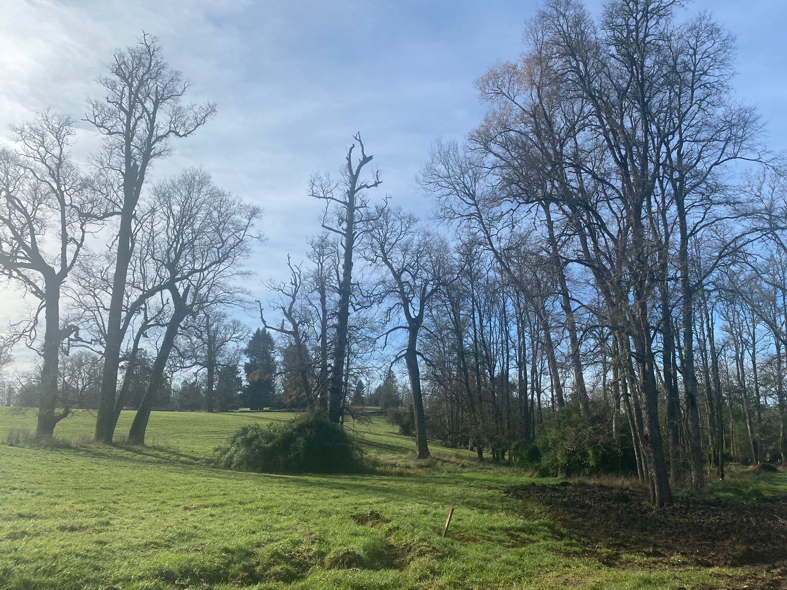 Campo en venta en Frutillar — foto 3