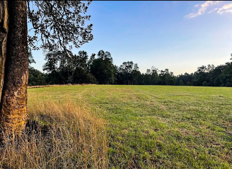Campo en venta en Frutillar — foto 4