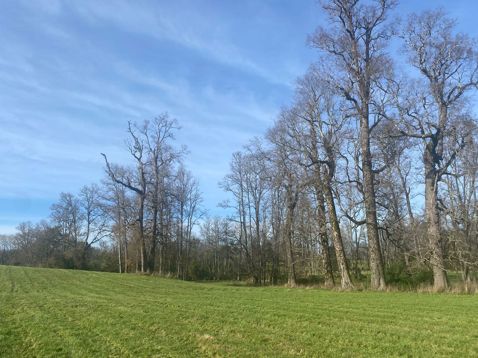 Campo en venta en Frutillar — foto 6