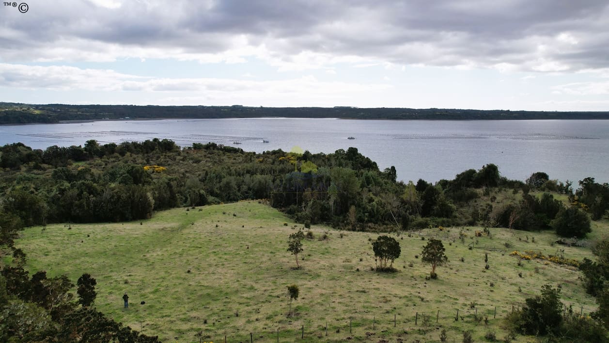 Parcela en venta en Ancud — foto 10