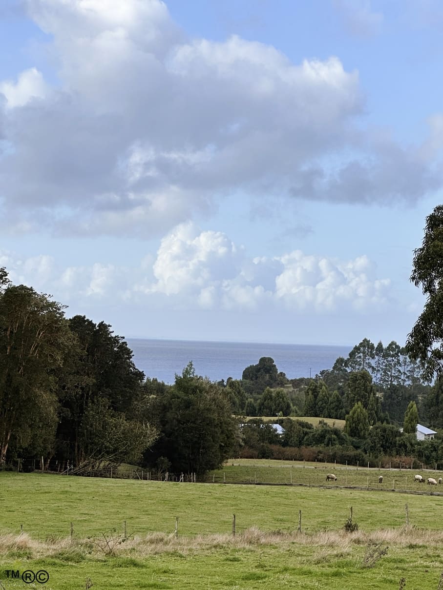 Parcela en venta en Ancud — foto 2