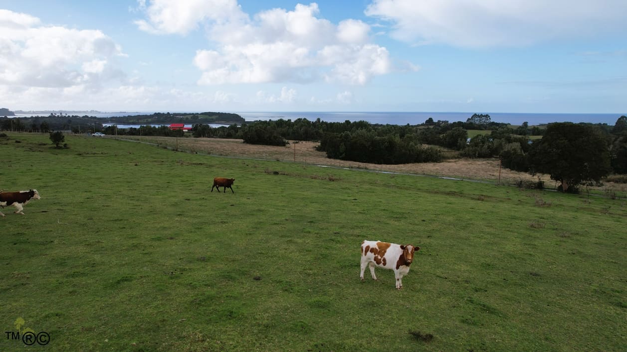 Parcela en venta en Ancud — foto 5