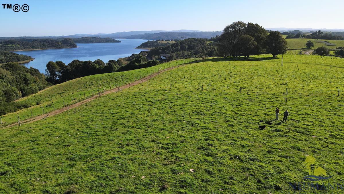 Parcela en venta en Ancud — foto 9