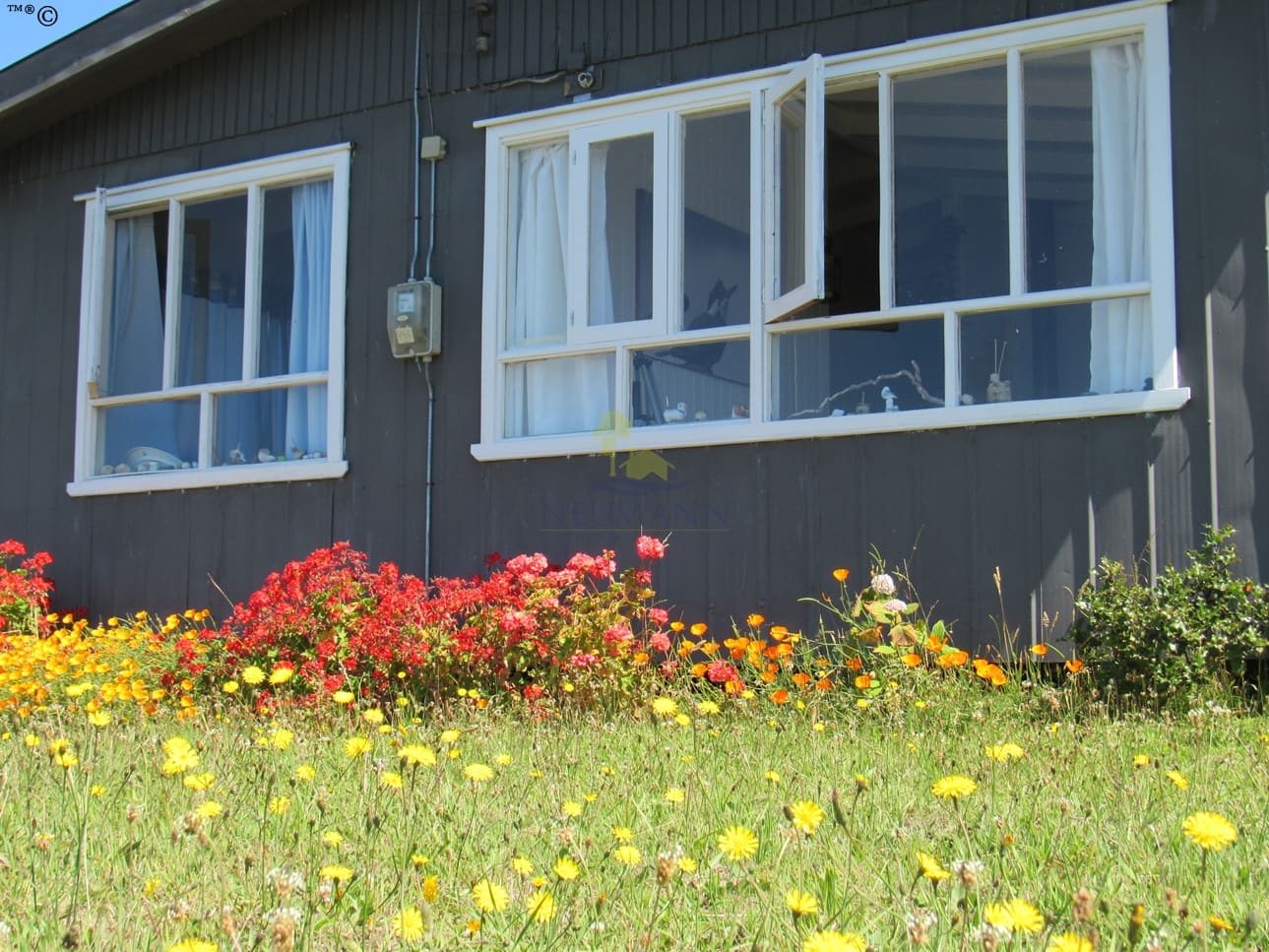Casa en venta en Puqueldón — foto 8