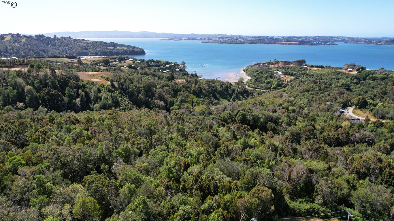 Parcela en venta en Ancud — foto 1