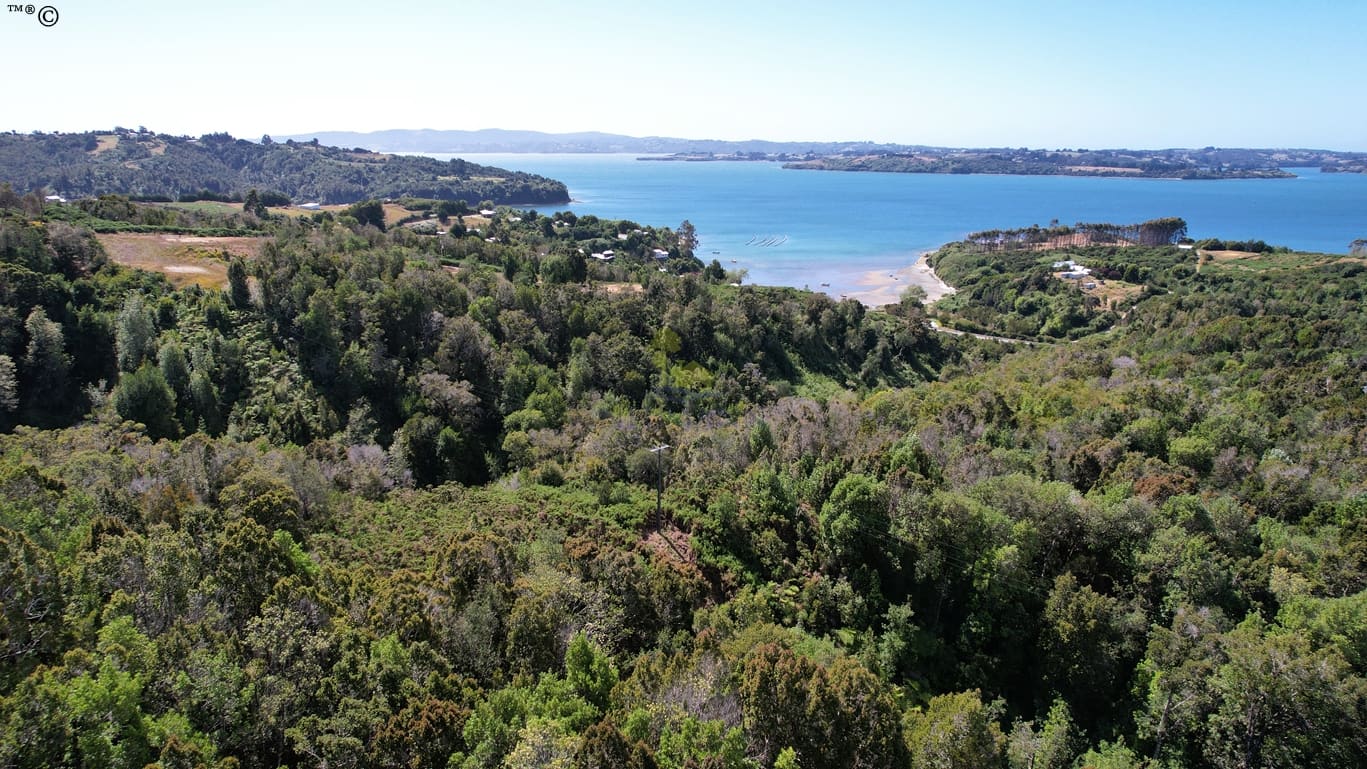 Parcela en venta en Ancud — foto 3