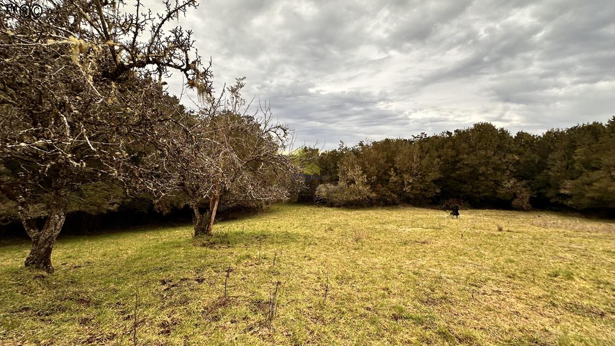 Parcela en venta en Ancud — foto 2