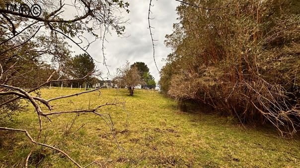 Parcela en venta en Ancud — foto 6