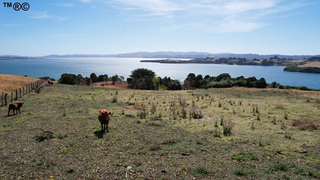 Parcela en venta en Ancud — foto 9