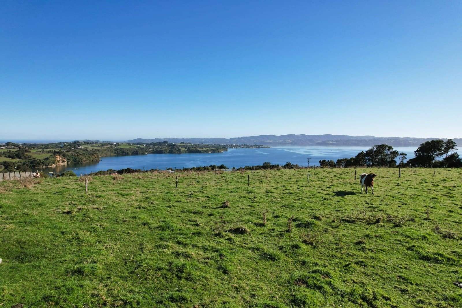 Parcela en venta en Ancud — foto 9