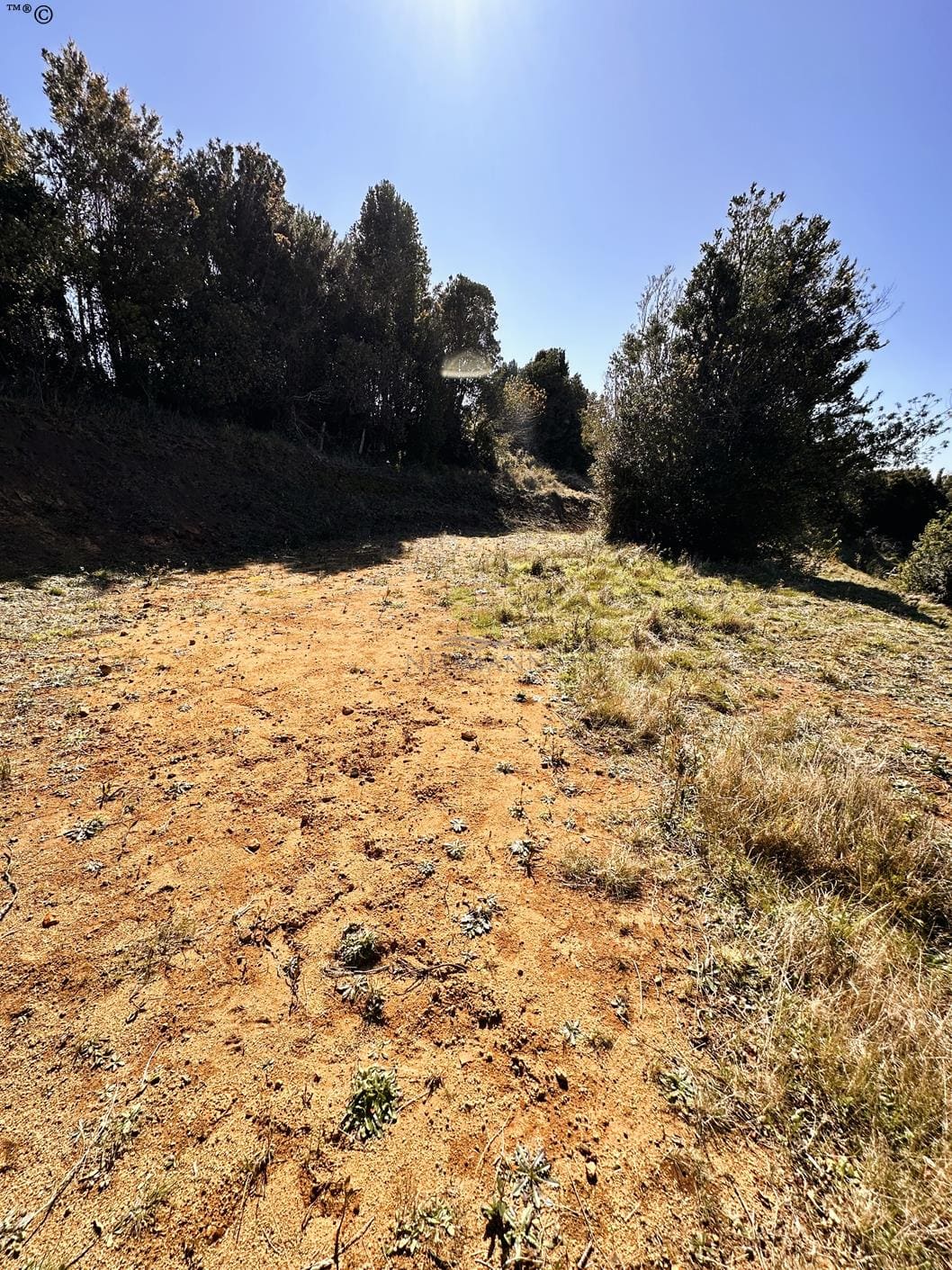 Parcela en venta en Ancud — foto 8