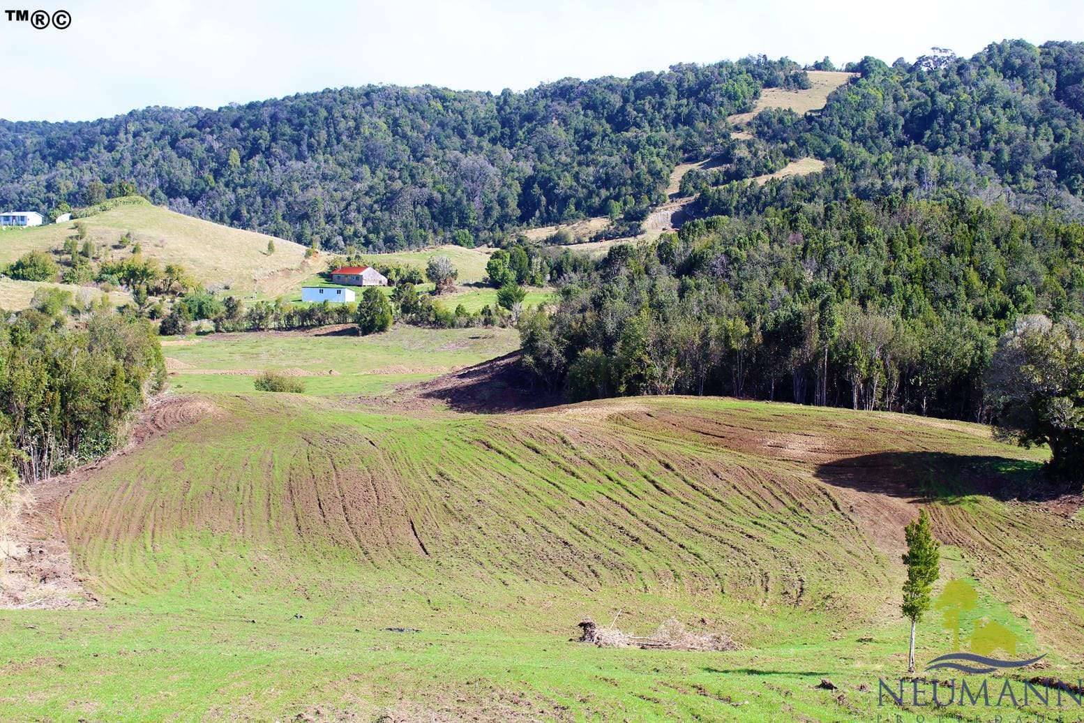 Campo en venta en Ancud — foto 4