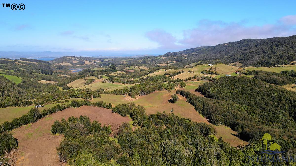 Campo en venta en Ancud — foto 5