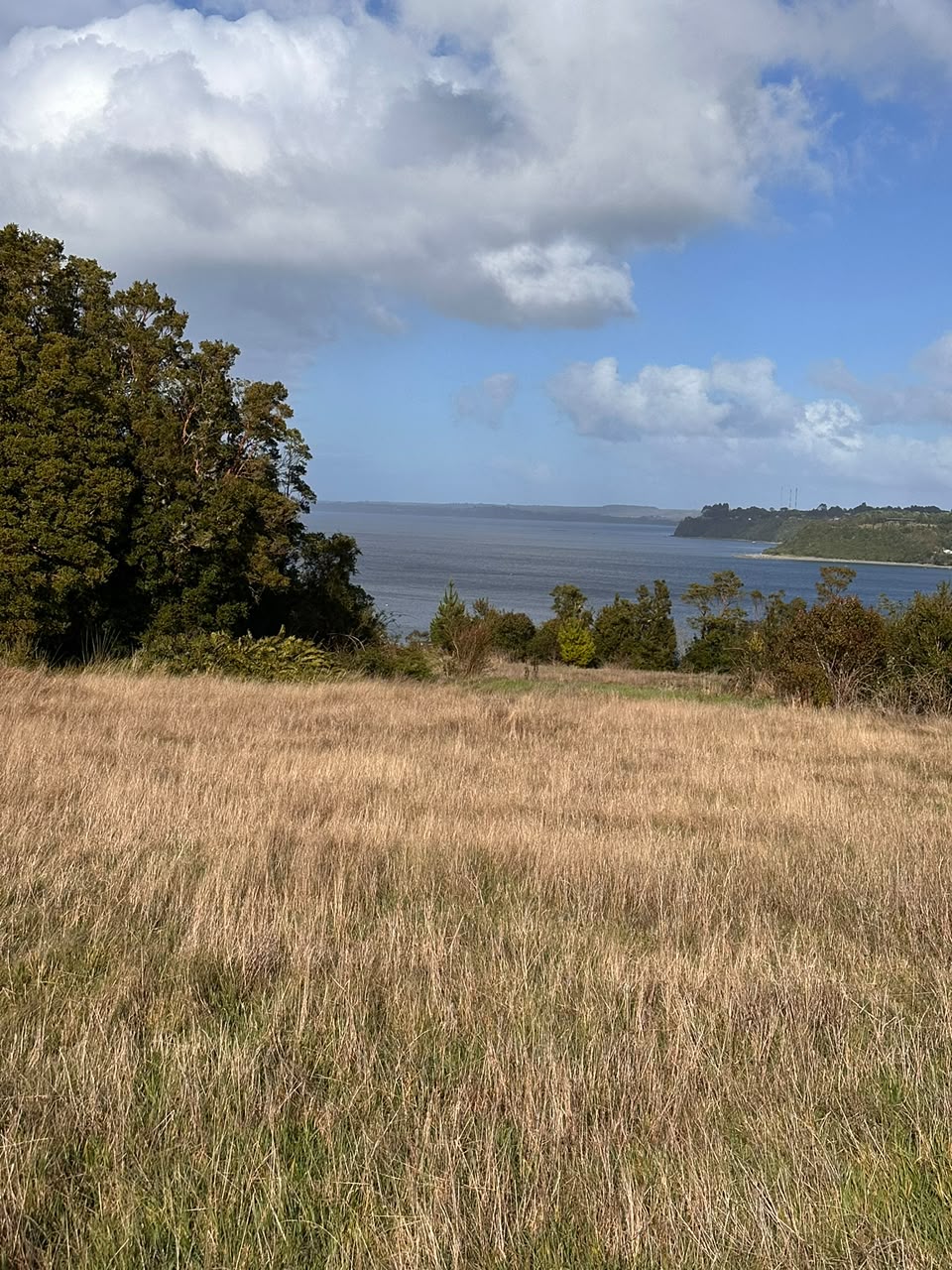 Parcela en venta en Ancud — foto 5