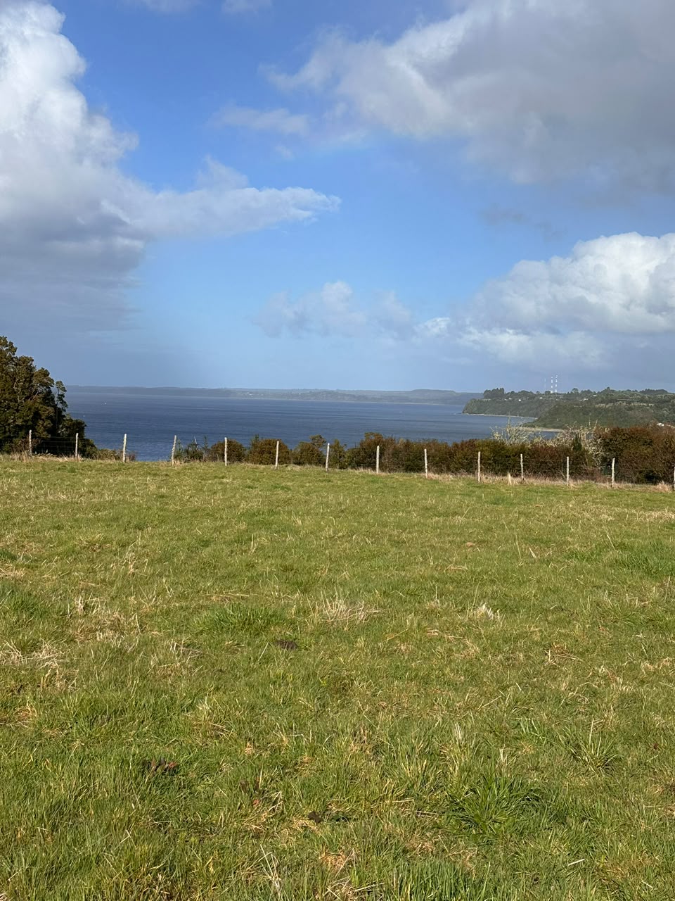 Parcela en venta en Ancud — foto 9