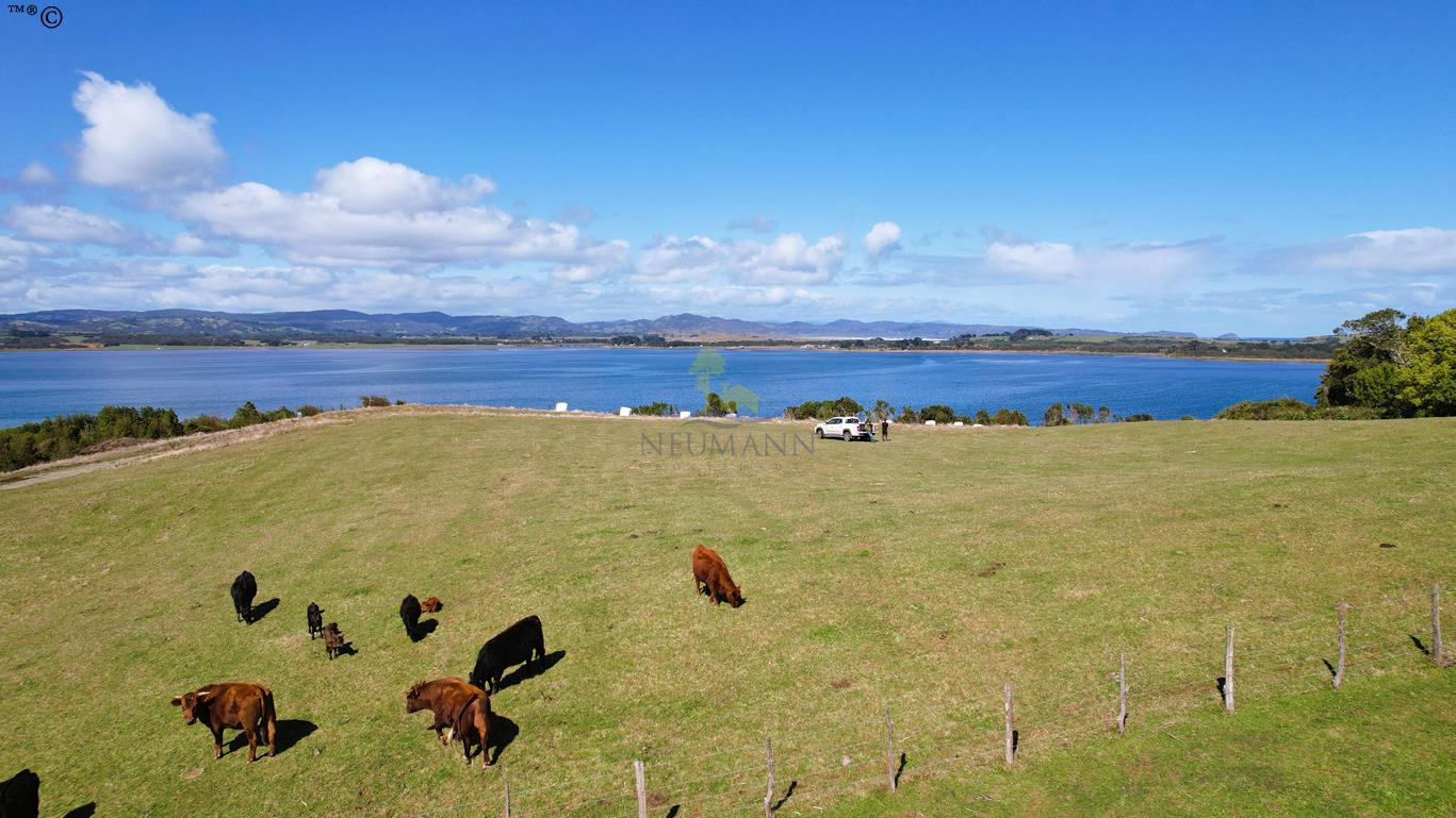 Parcela en venta en Ancud — foto 9