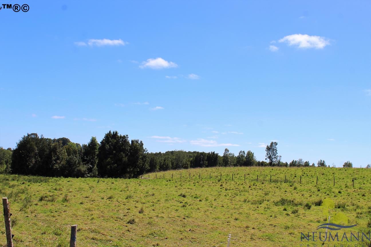 Parcela en venta en Ancud — foto 5