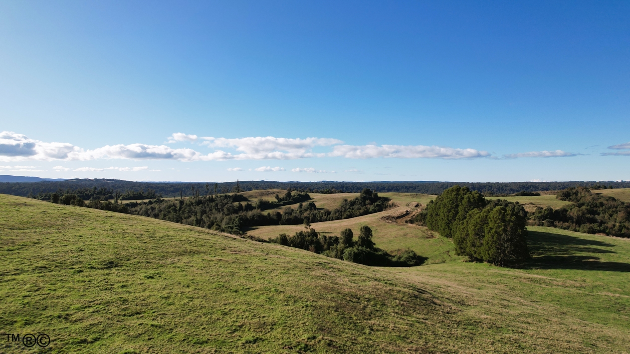 Campo en venta en Ancud — foto 1