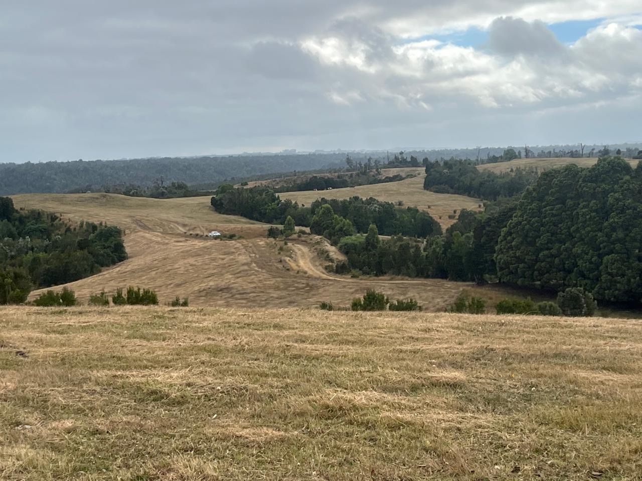 Campo en venta en Ancud — foto 2