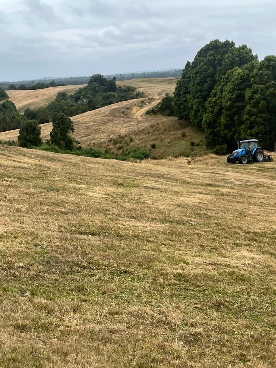 Campo en venta en Ancud — foto 5