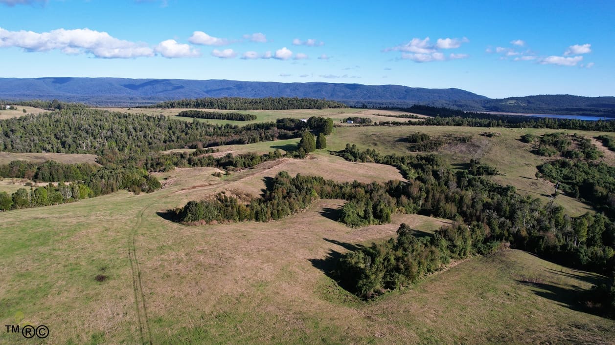 Campo en venta en Ancud — foto 6
