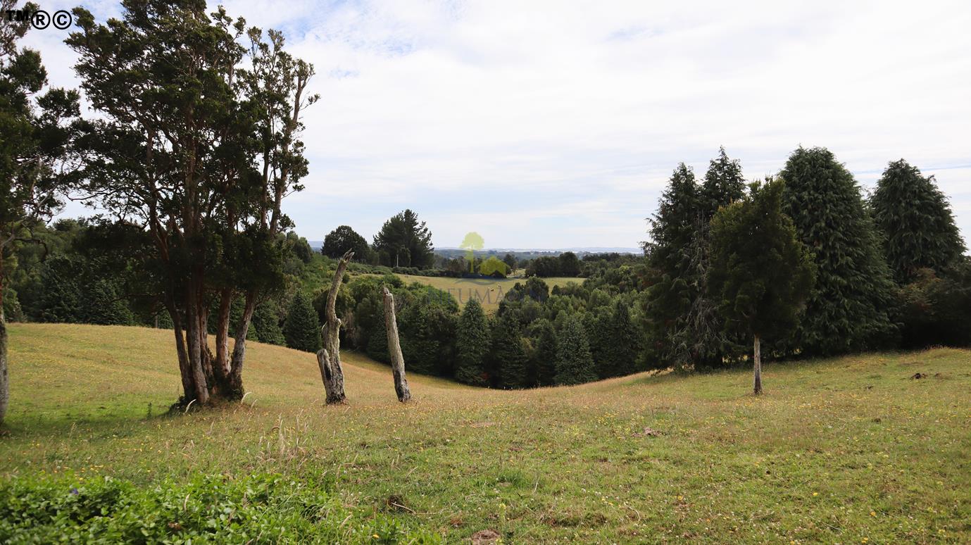 Parcela en venta en Ancud — foto 6
