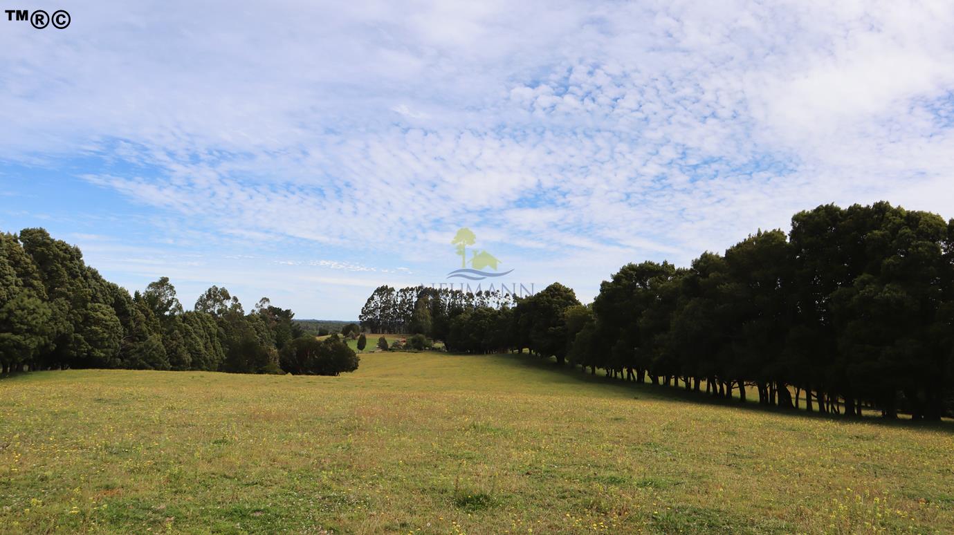 Parcela en venta en Ancud — foto 8