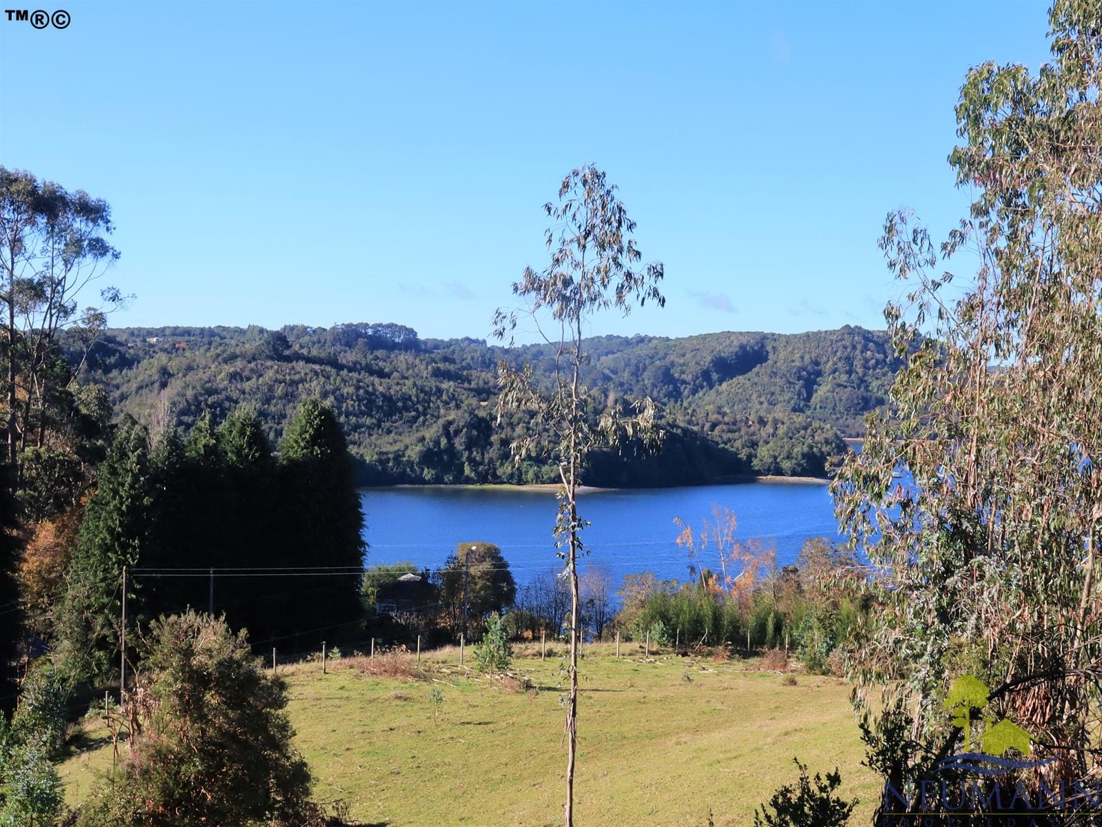 Parcela en venta en Quemchi — foto 4