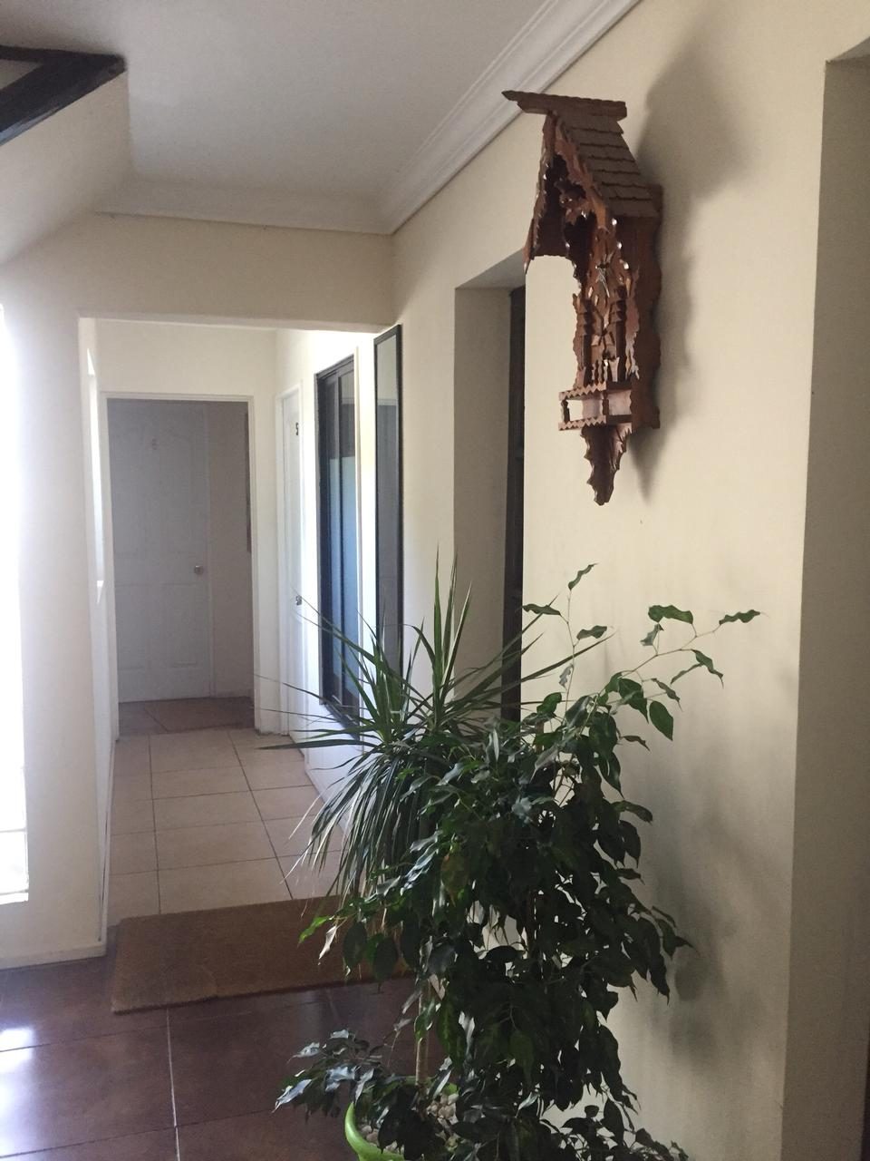 Oficina en arriendo en Curicó — foto 3