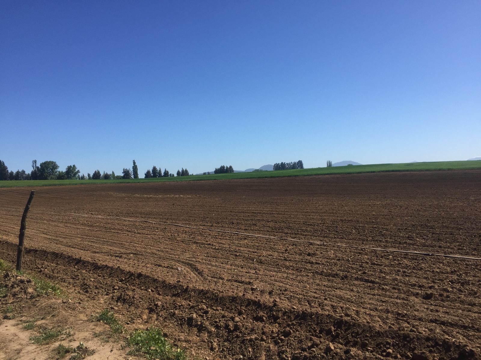 Parcela en venta en Talca — foto 4