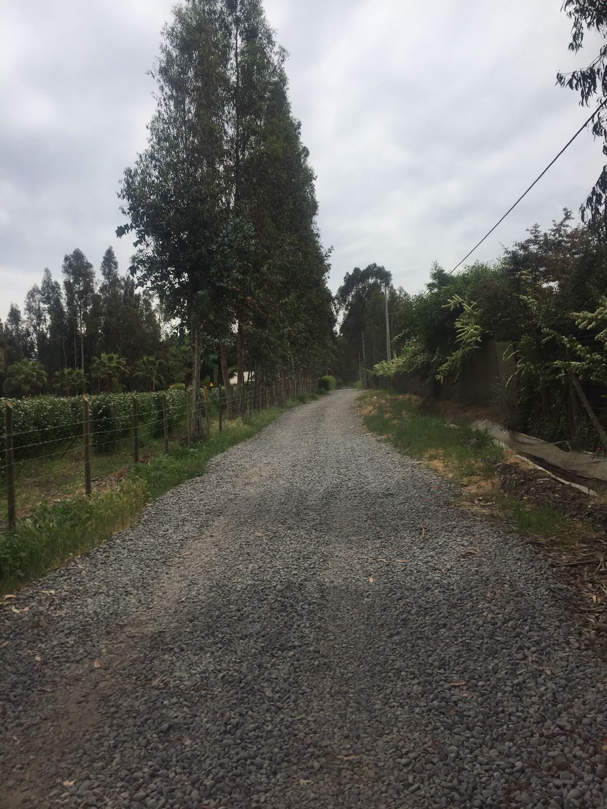 Terreno en venta en Curicó — foto 2
