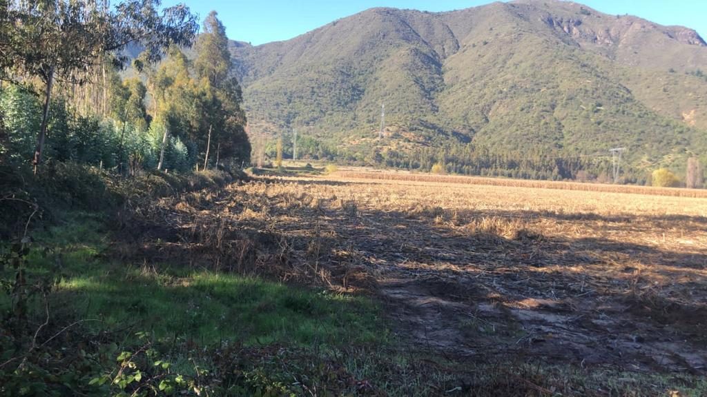 Parcela en venta en Molina — foto 1