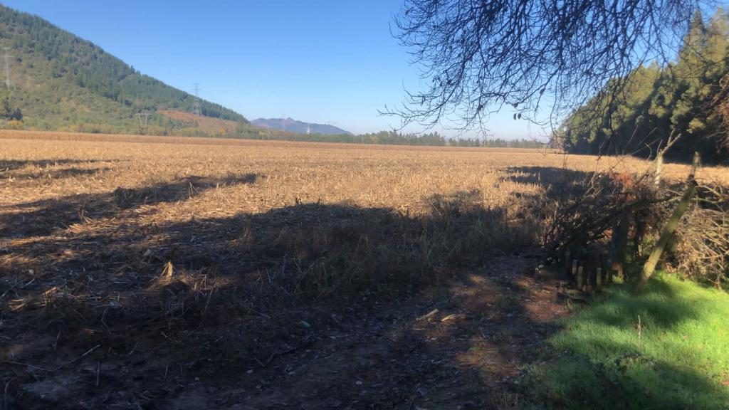 Parcela en venta en Molina — foto 2