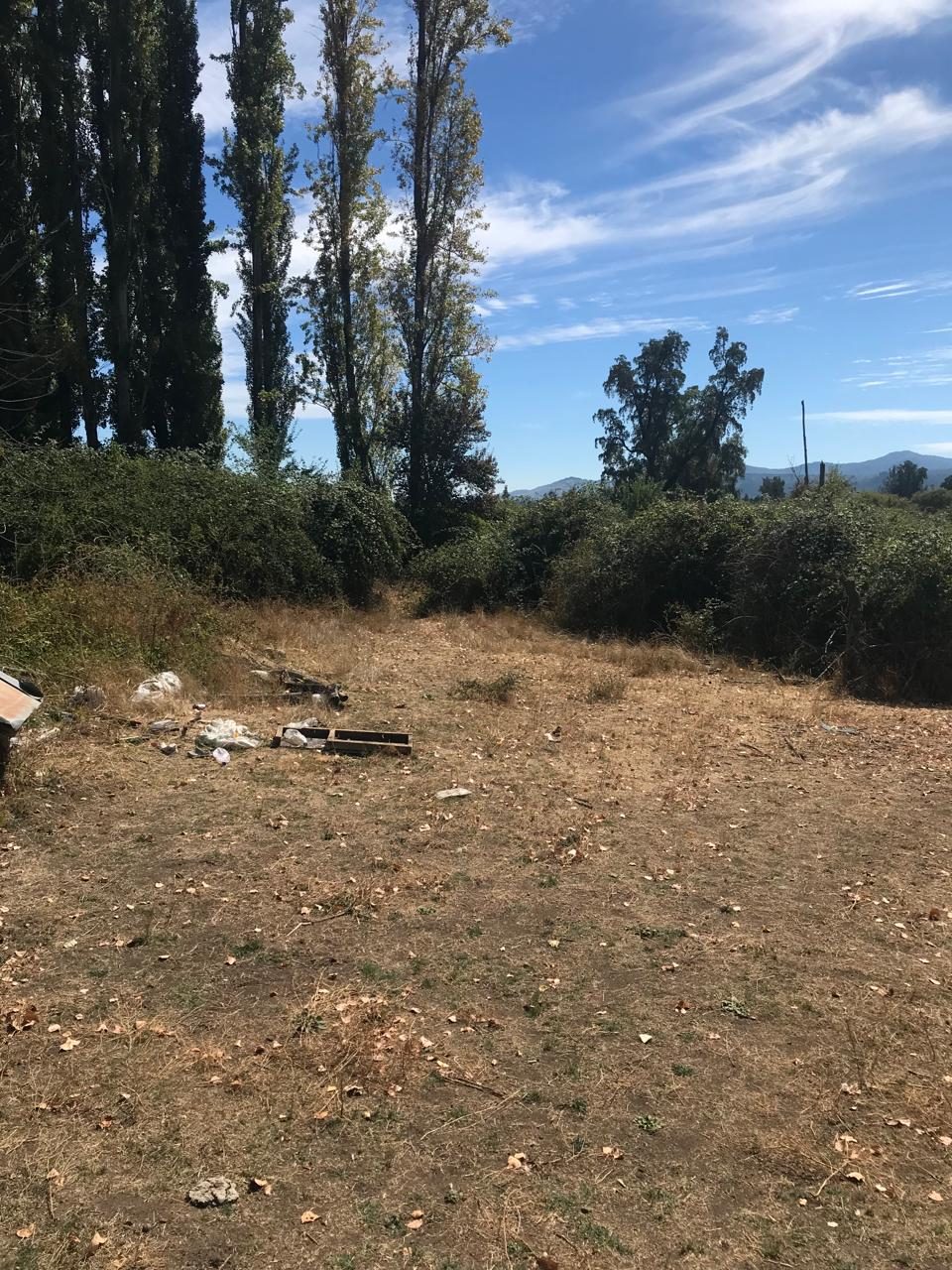 Parcela en venta en Molina — foto 2