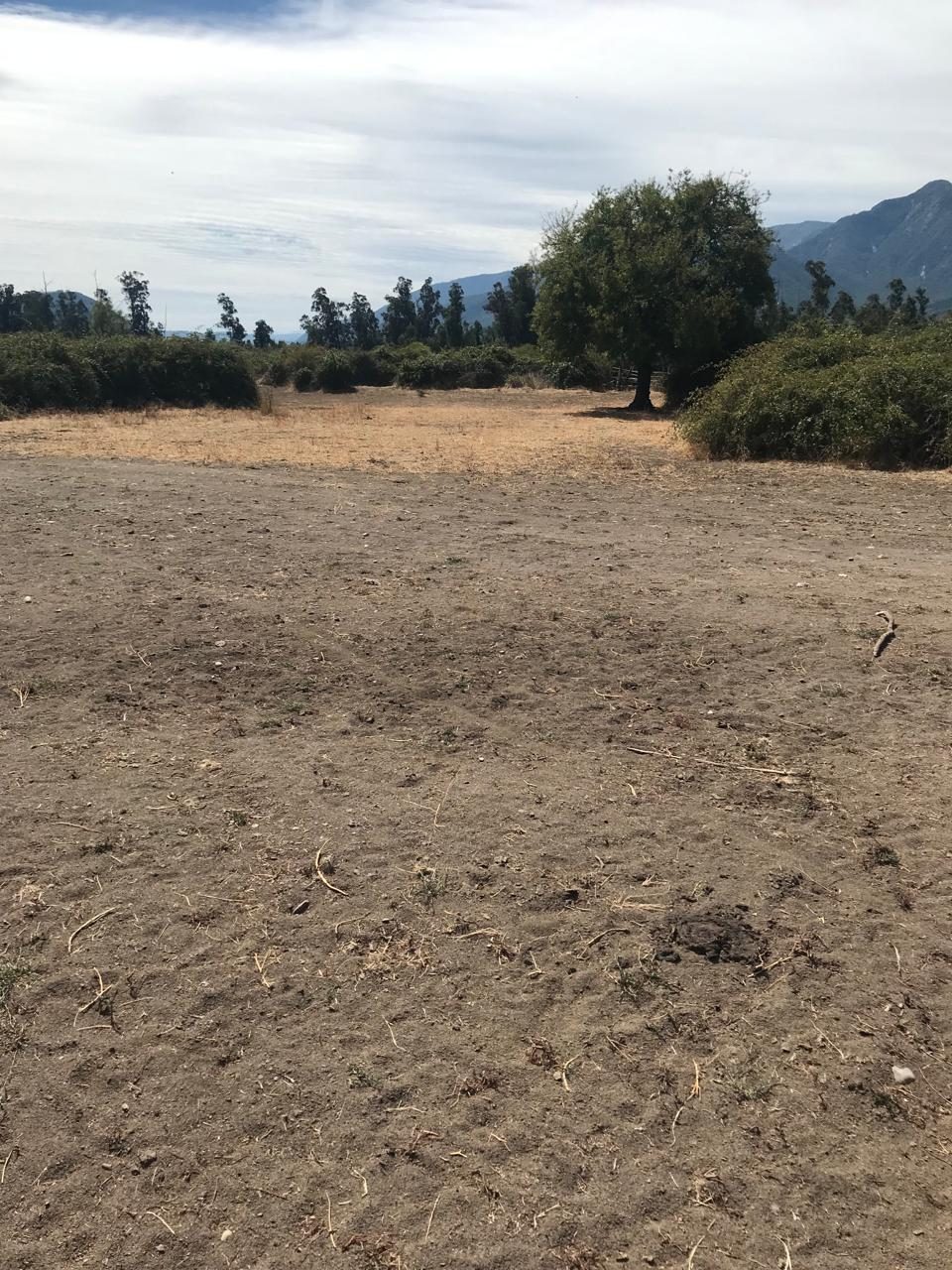Parcela en venta en Molina — foto 4