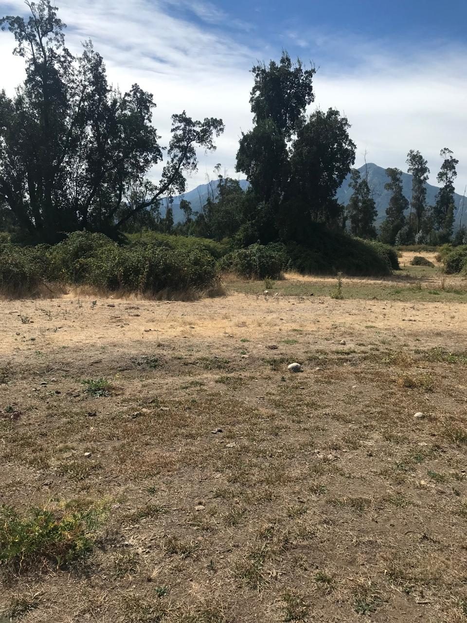 Parcela en venta en Molina — foto 6