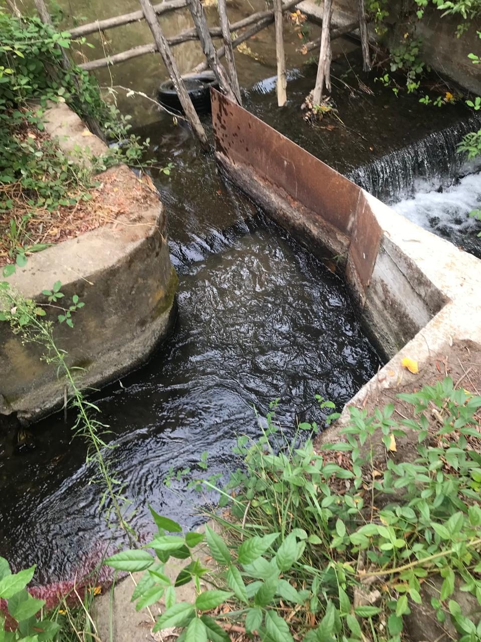 Parcela en venta en Molina — foto 8