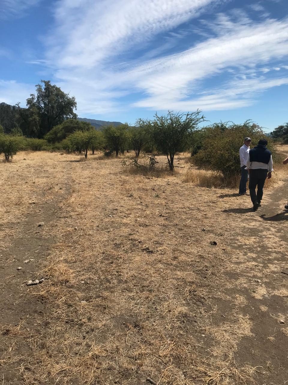 Parcela en venta en Molina — foto 10