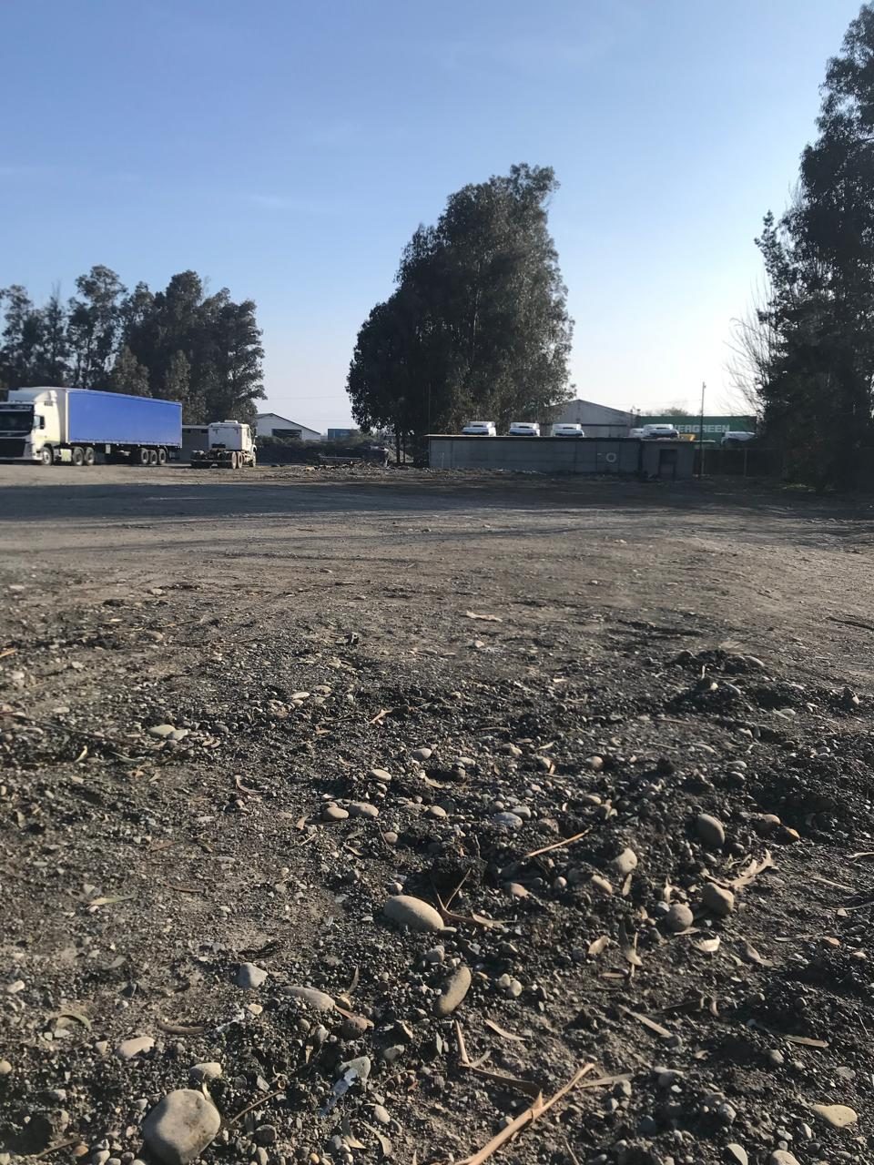 Terreno en arriendo en Curicó — foto 1
