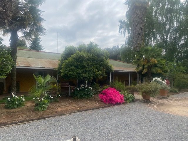 Casa en arriendo en Curicó — foto 1