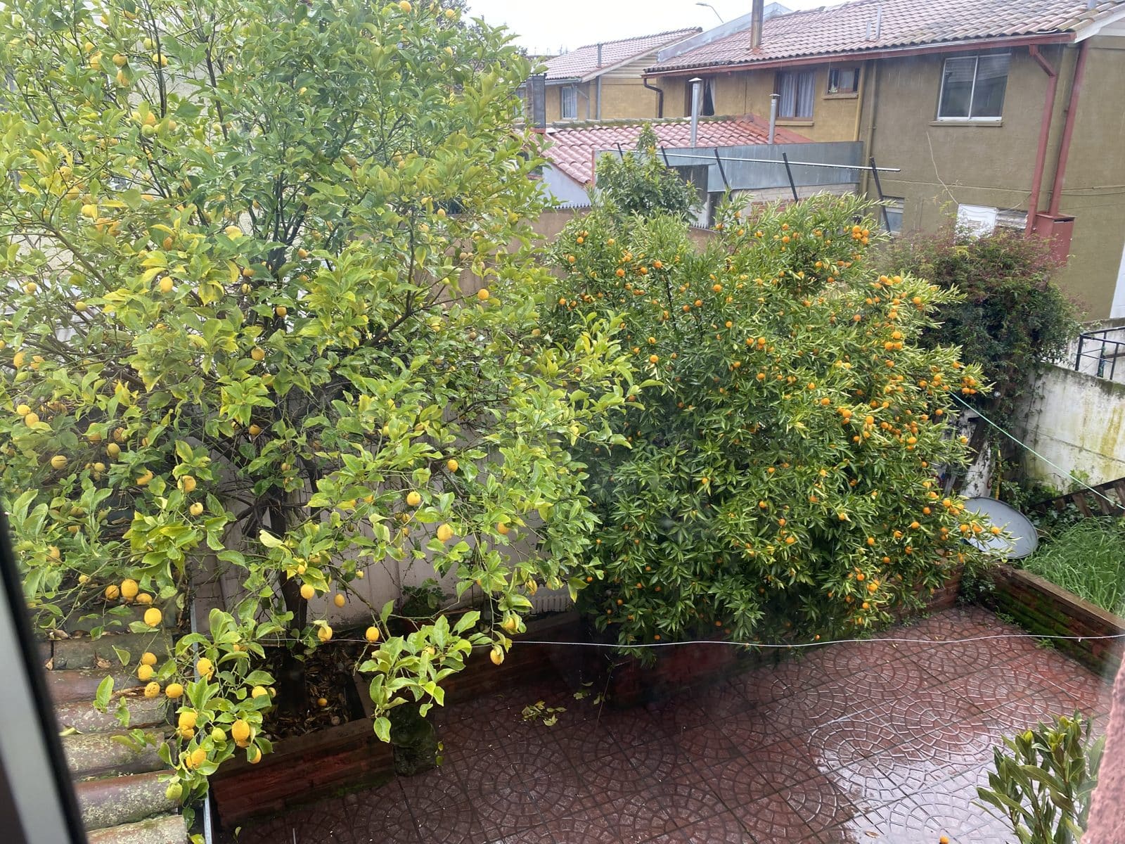 Casa en venta en Curicó — foto 10