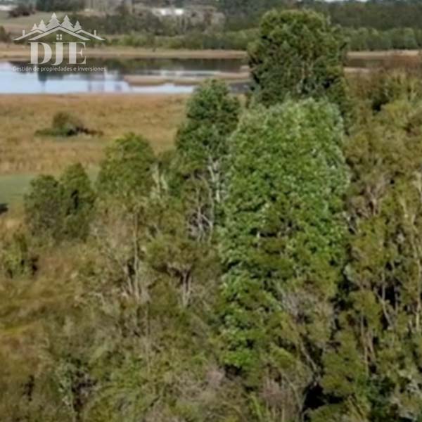 Parcela en venta en Maullín — foto 2