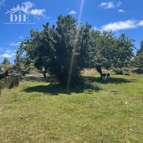 Parcela en venta en Maullín — foto 1