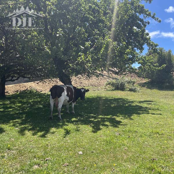 Parcela en venta en Maullín — foto 2
