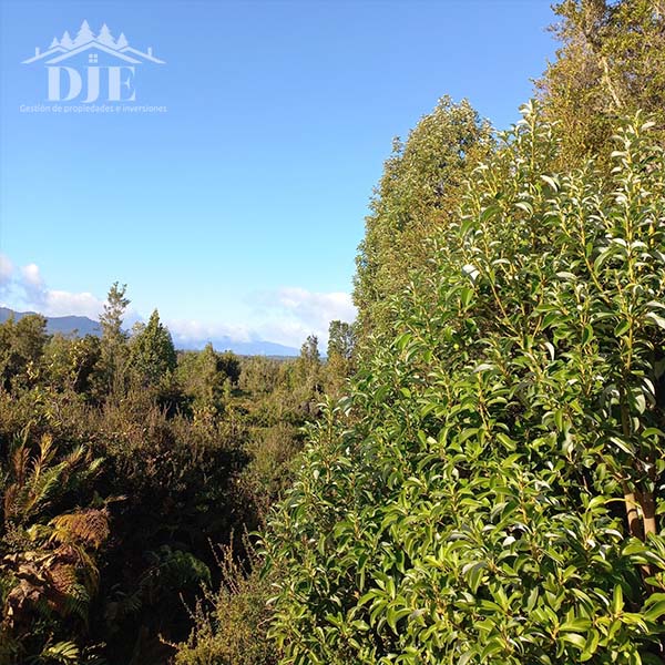 Campo en venta en Puerto Montt — foto 3