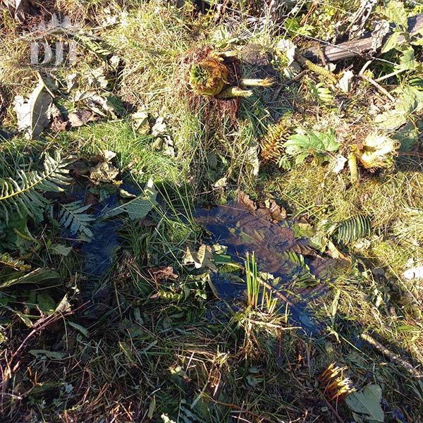 Campo en venta en Puerto Montt — foto 4
