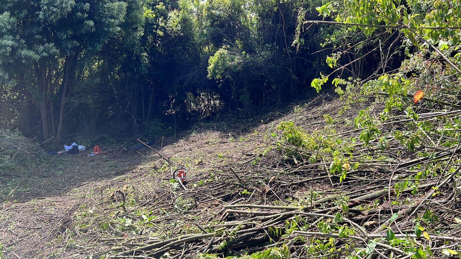 Terreno en venta en Puerto Montt — foto 4