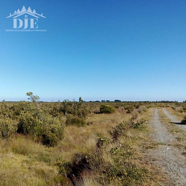 Parcela en venta en Los Muermos — foto 1